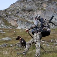 Halcapone.hu webáruház