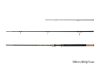 Delphin River Trophy NXT 300cm 160g