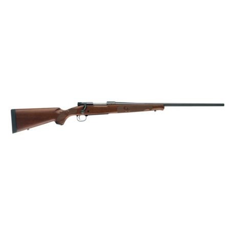 Winchester M70 30-06