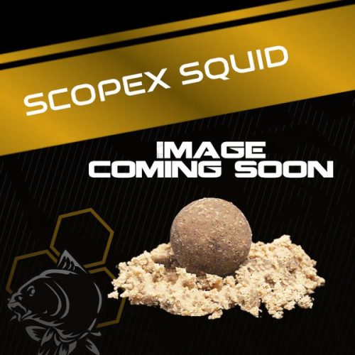  	 NASH Scopex Squid Wafters 20mm 