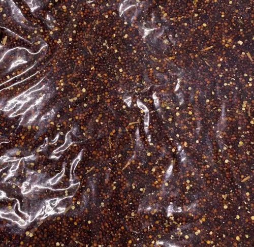 DANCSÓ Főtt Repce 800g