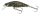 SALMO BULLHEAD 4 Sinking BD Bullhead 