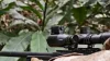 Pard Night Stalker 4K eX 70mm Éjjellátó Céltávcső + 940 IR/LRF modul