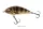 SALMO FATSO 8 Floating Emerald Perch
