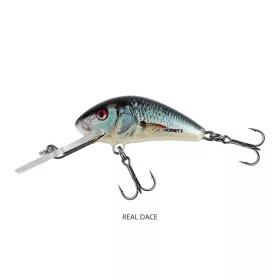 SALMO HORNET 5 Floating Real Dace