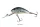 SALMO HORNET 5 Floating Real Dace