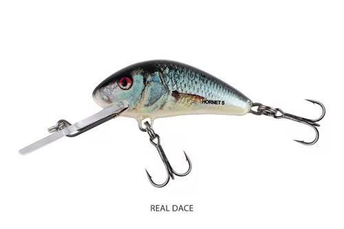SALMO HORNET 5 Floating Real Dace