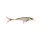 RAPALA XR-8 X-Rap ROL 