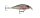 RAPALA X-LIGHT MINNOW FNM05 ROL