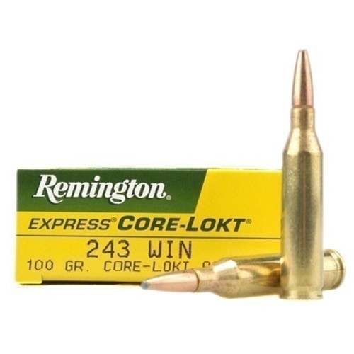 Remington Core-Lokt 