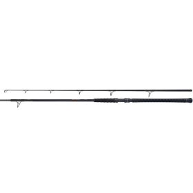 Shimano Beastmaster AX Catfish Static 300cm 400g