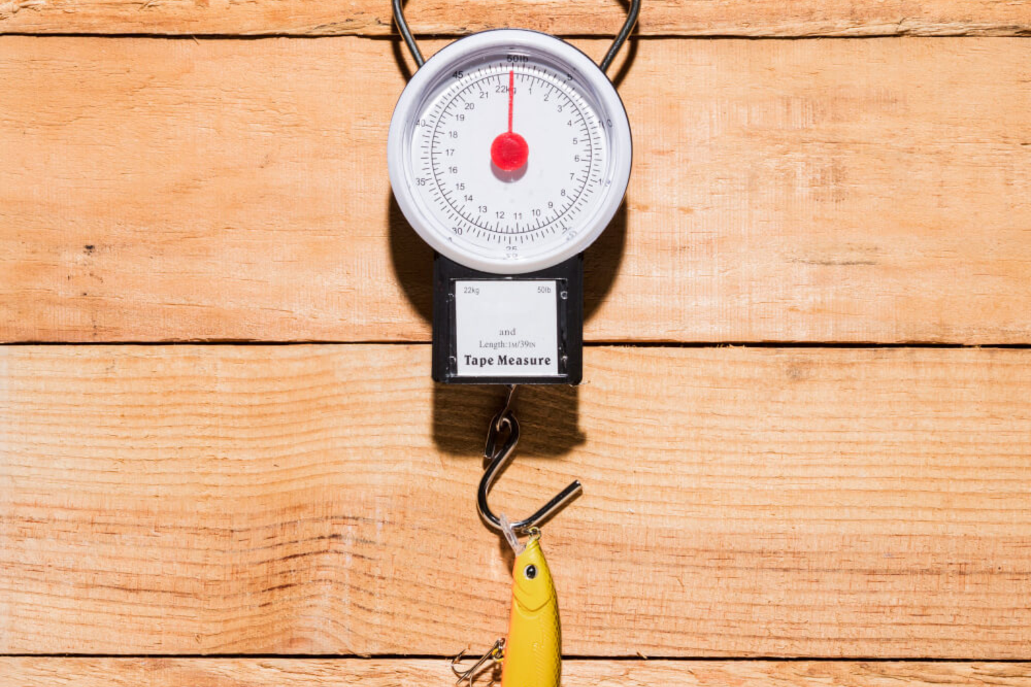 Kifogott hal mérése - minden, amit a pontos mérésről tudni kell