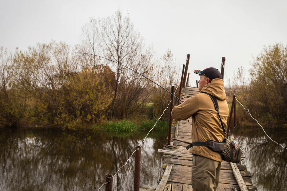 Milyen etetőanyagot használjunk ősszel?