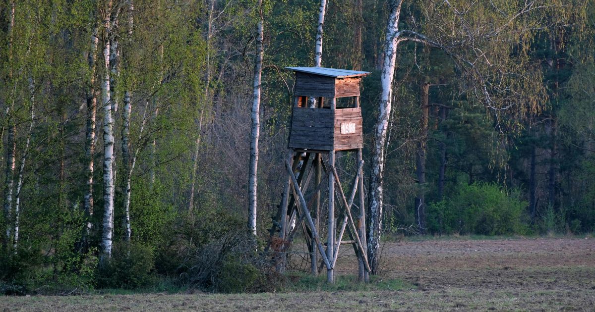 Vadászati idények Magyarországon
